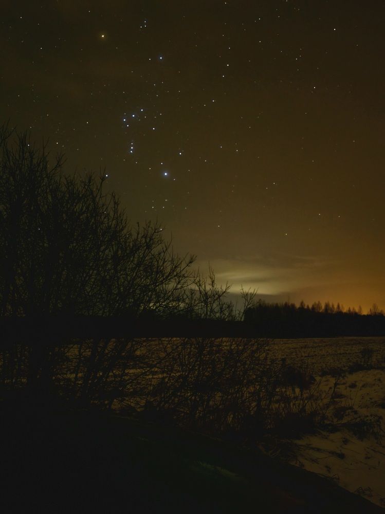 Photograph by Ирина Терентьева