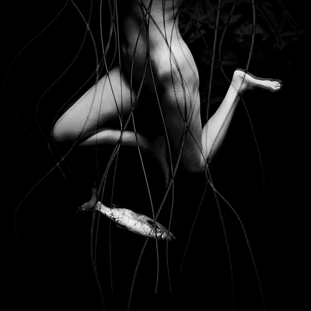 Photograph by Sizan Sizan7211