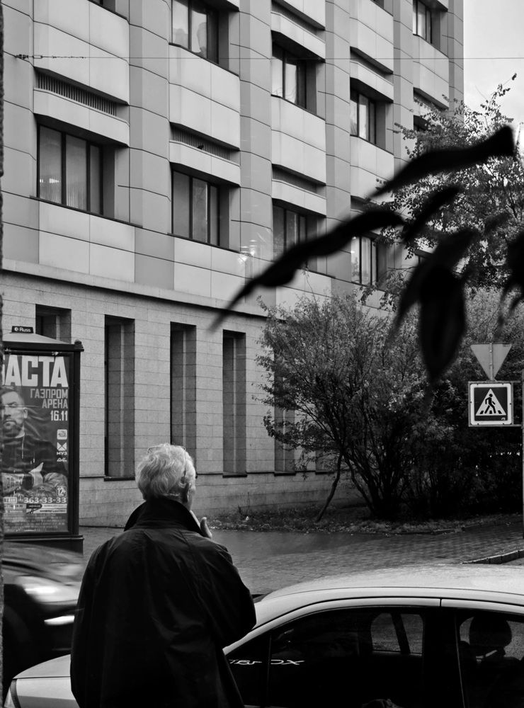 Photograph by Ирина Терентьева