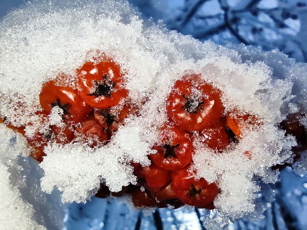 Photograph by Иванов Григорий