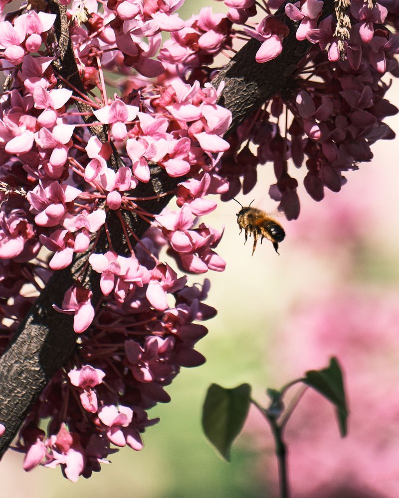 Фотография автора Эделев Владимир