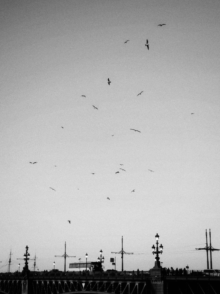 Photograph by Ирина Терентьева