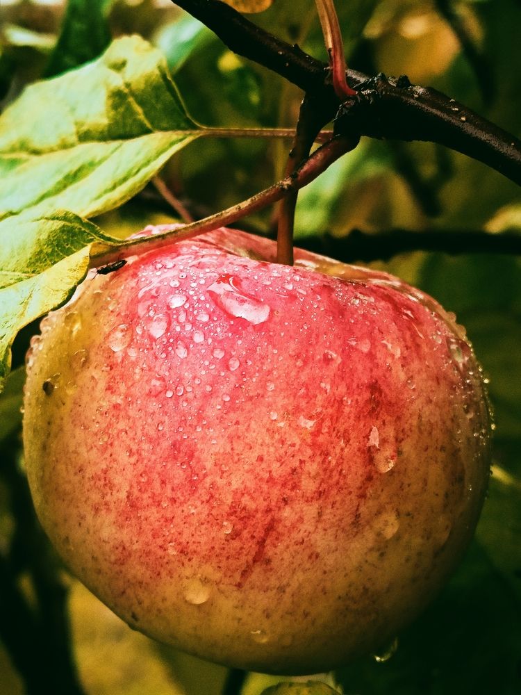 Photograph by Татьяна Бешенкина