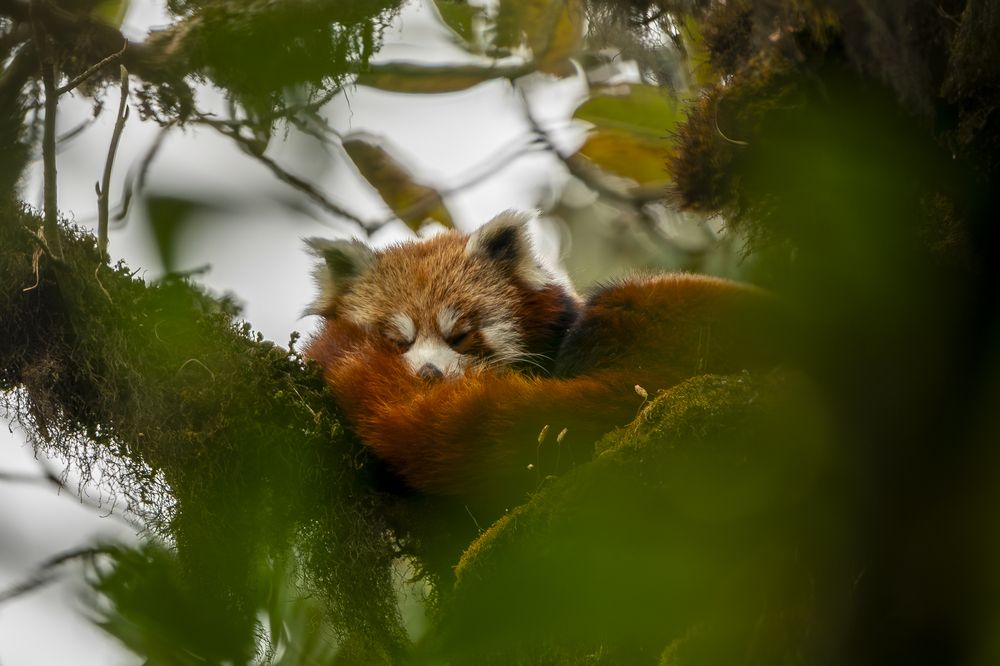 Photograph by Hymakar Valluri