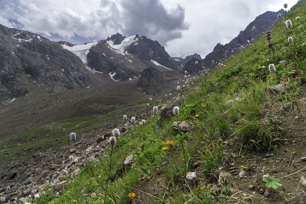 Photograph by Кирилл Савенко