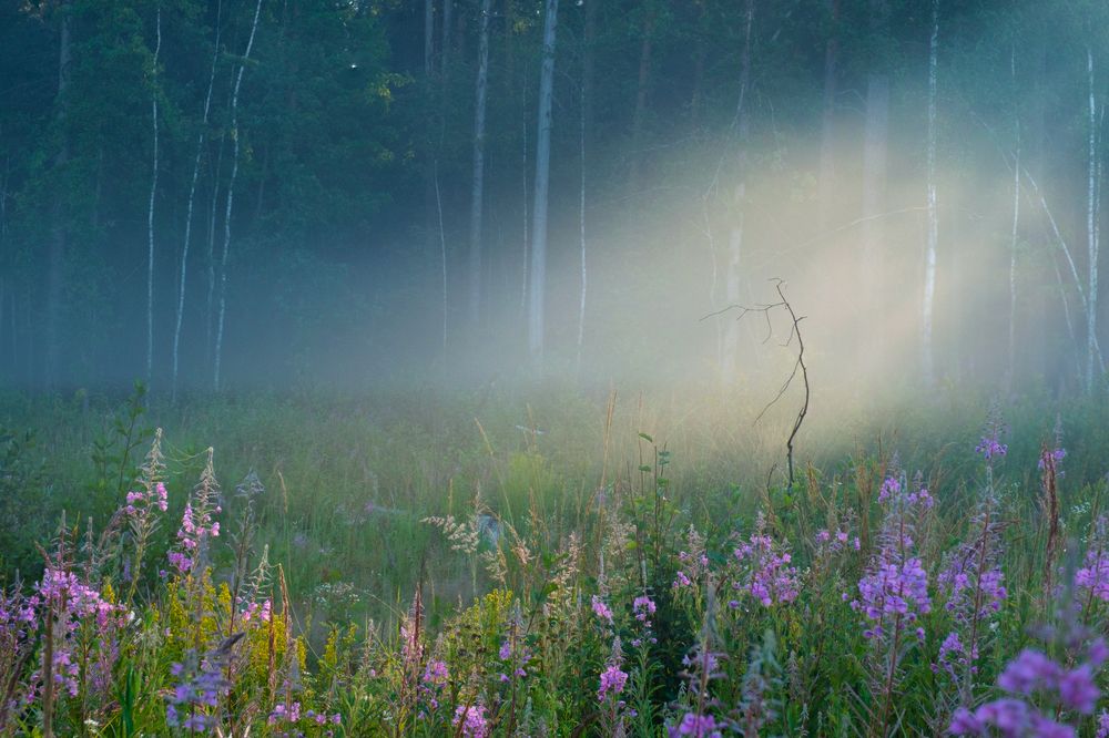 Photograph by Юсупов Александр