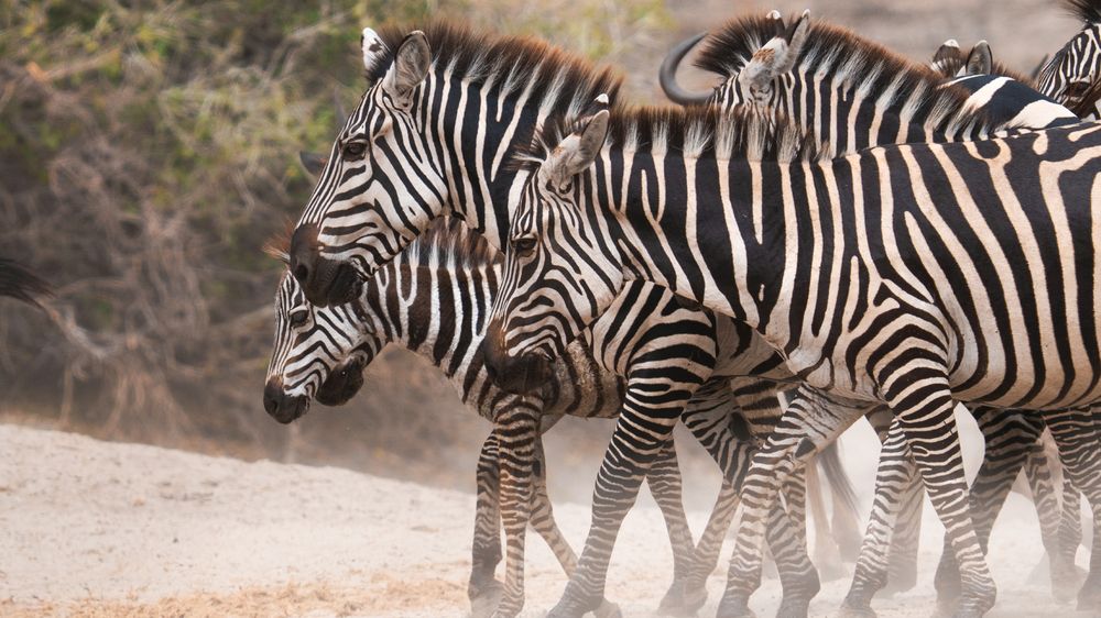 Photograph by Khazov Artem