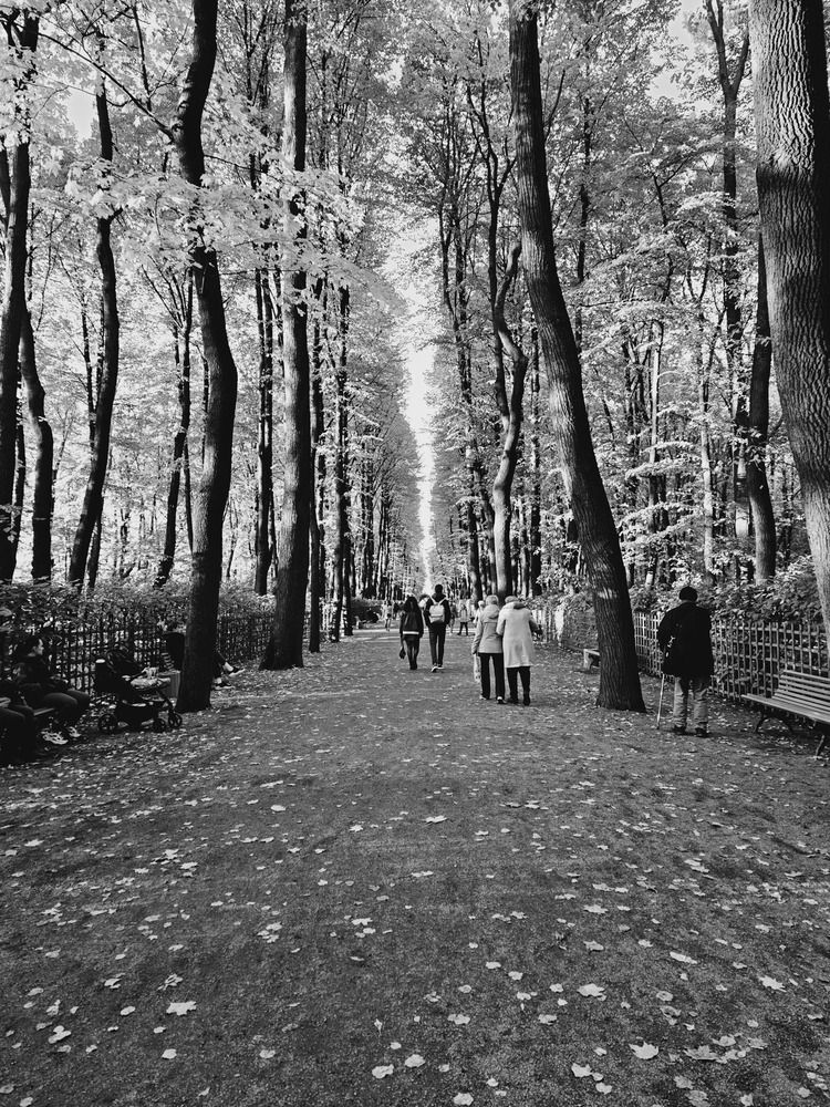 Photograph by Ирина Терентьева