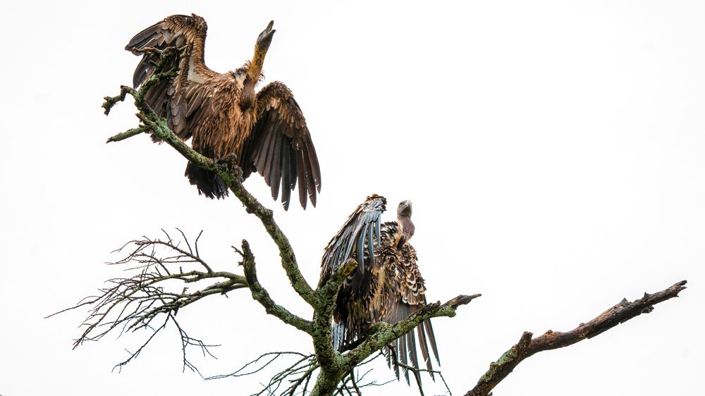 Photograph by Khazov Artem