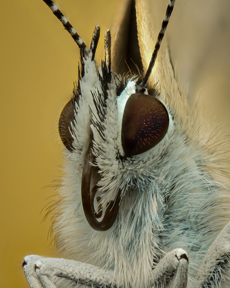 Photograph by Юрий Юрьевич Подгрушный