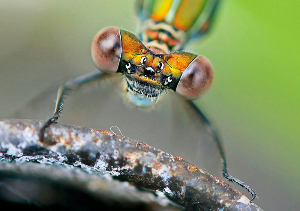 Photograph by Marjo Steffen