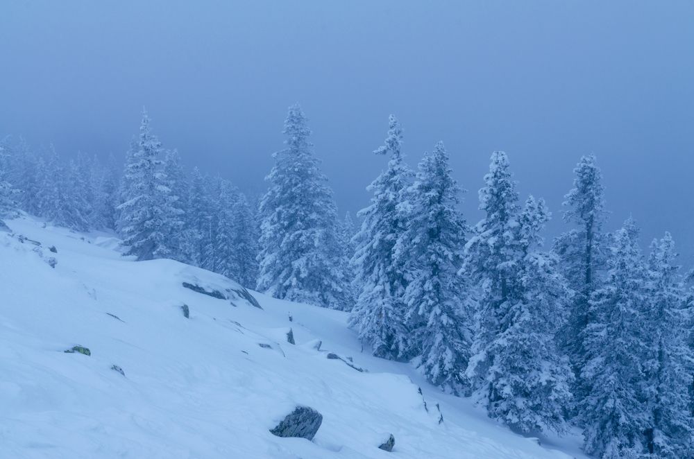 Photograph by Юсупов Александр