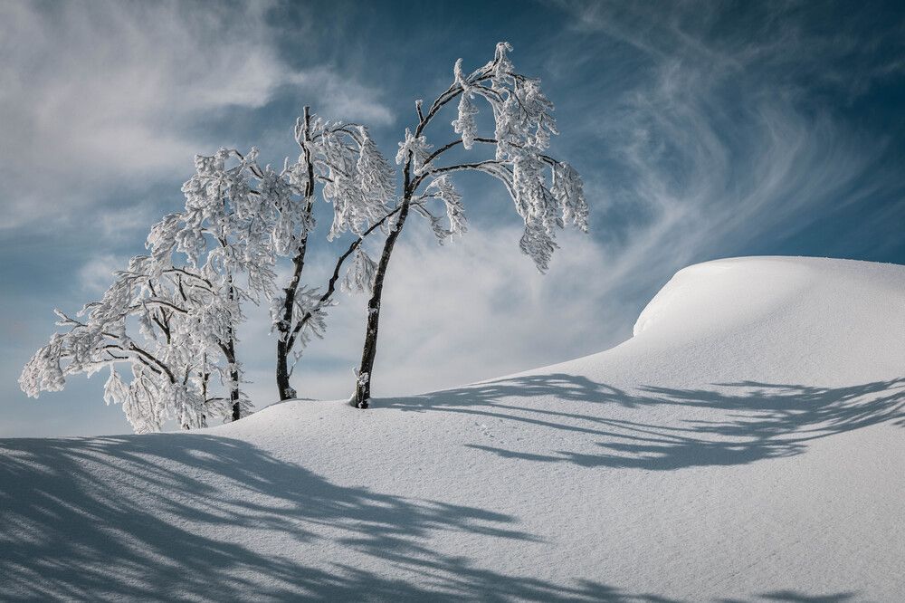 Фотография автора Ryo Takano