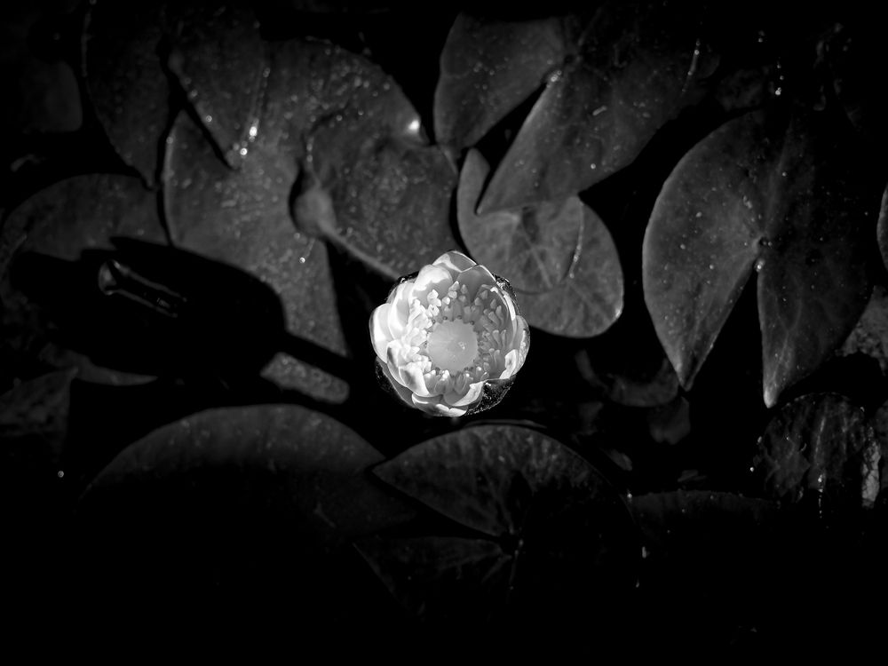 Photograph by WEONBAE PARK