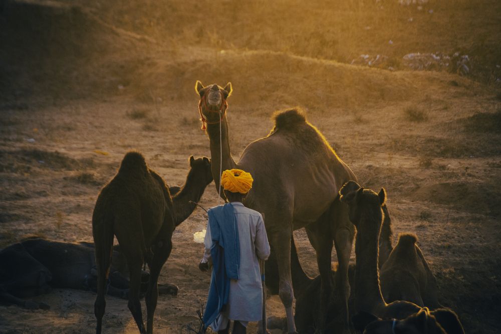 Фотография автора prashant bamnawat