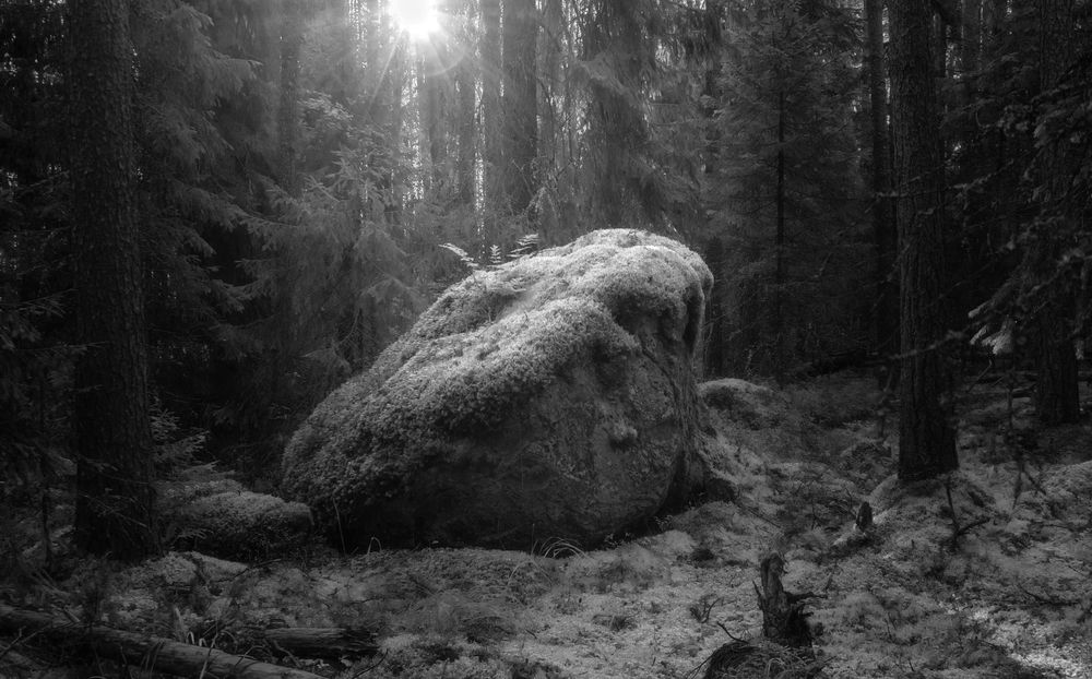 Photograph by Евгений Волосков