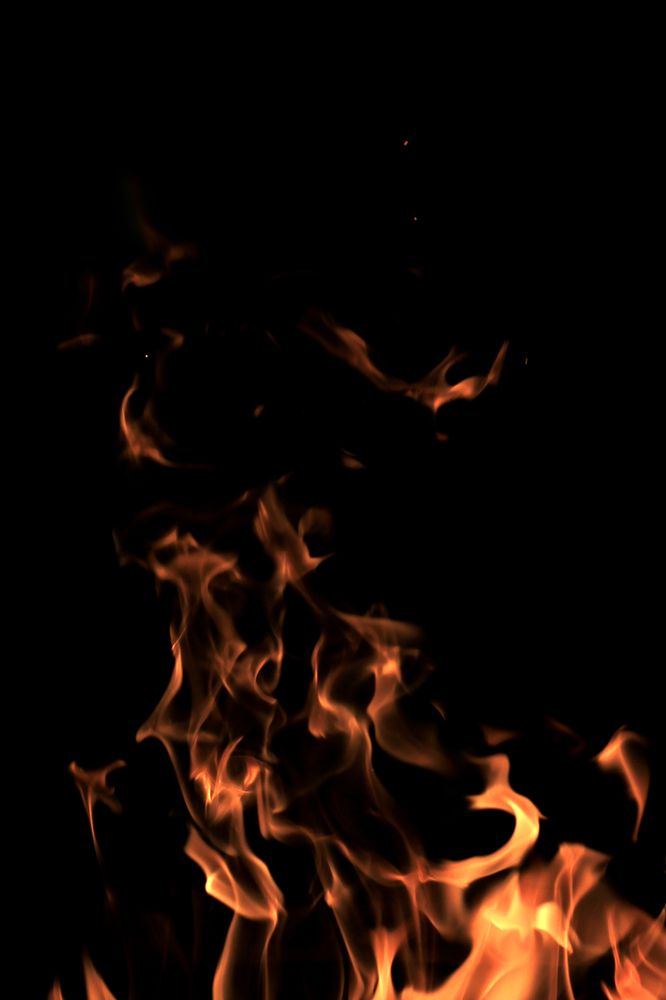 Photograph by Екатерина Пантелеева