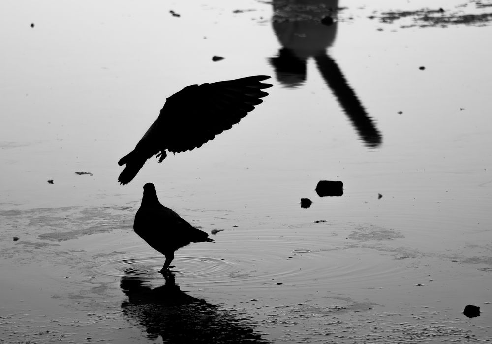 Photograph by Youssef Sikht