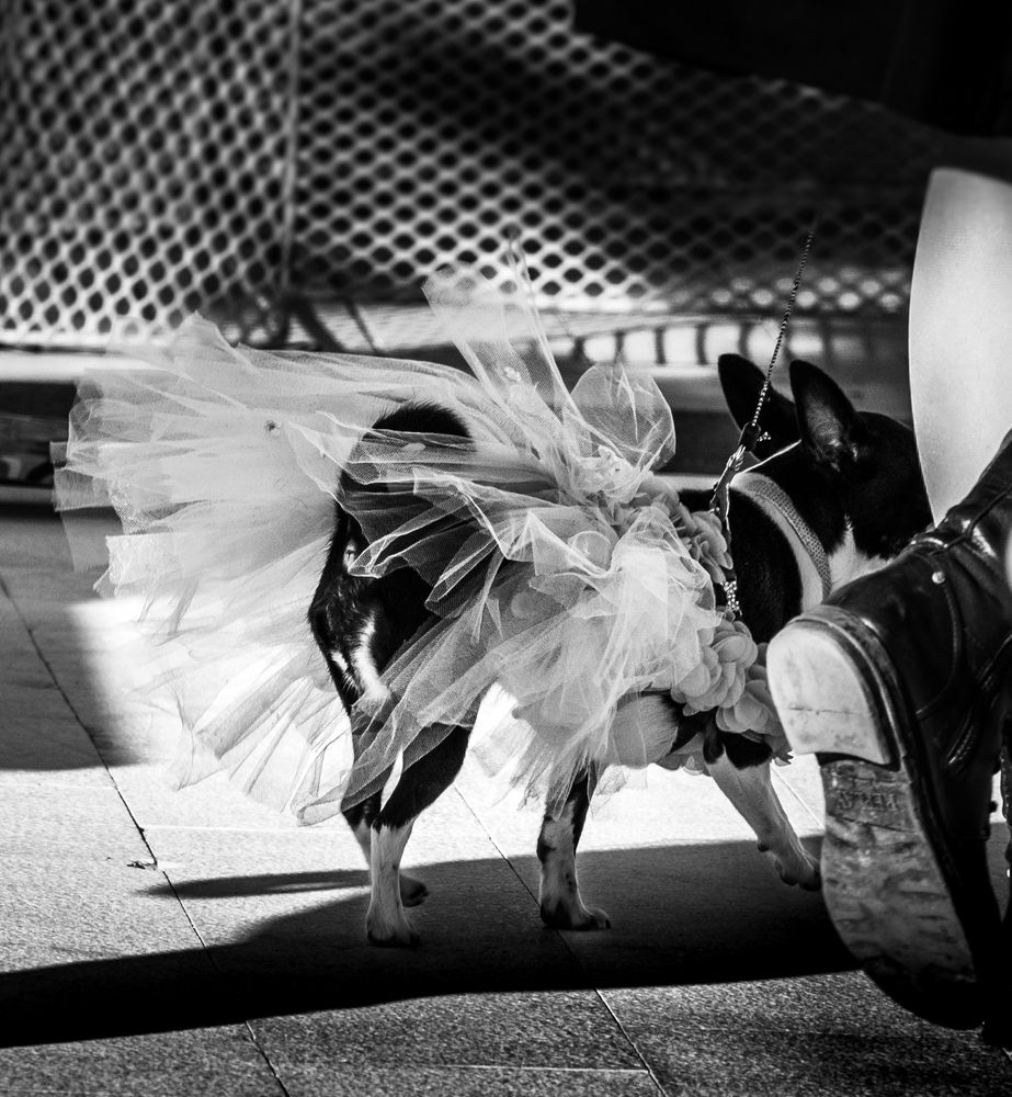 Photograph by Анна Стрелковская