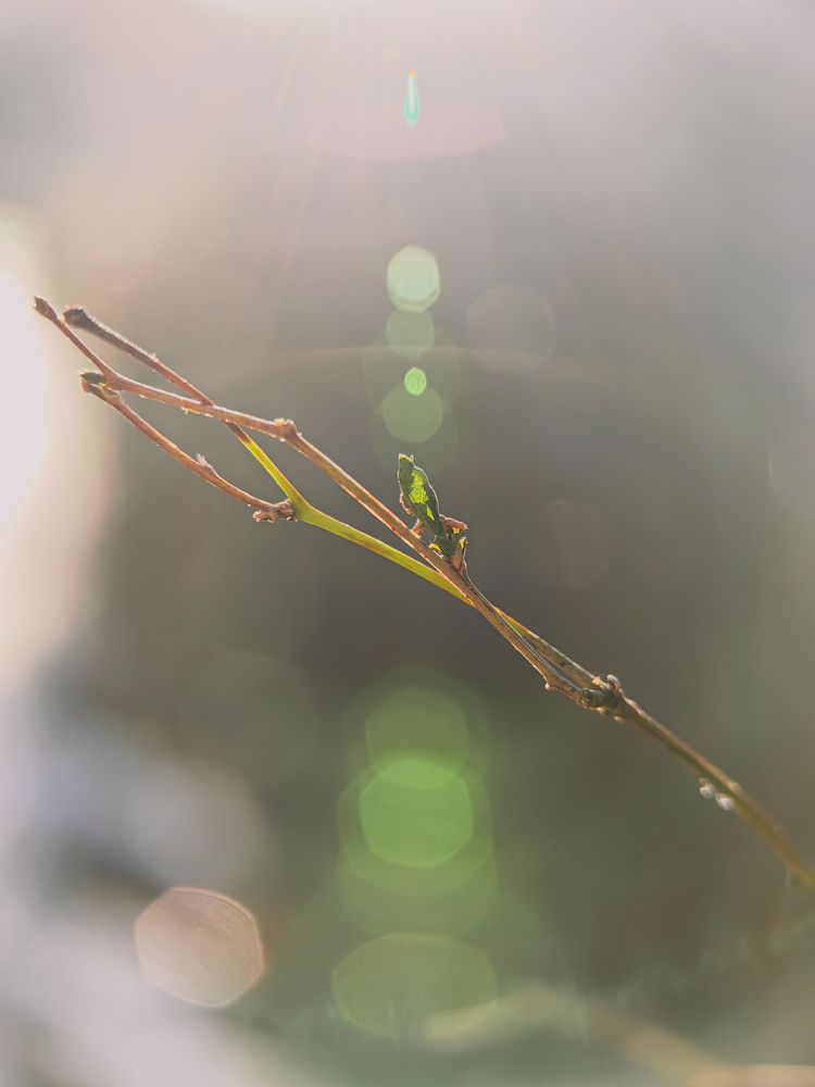 Photograph by Елена Макеева