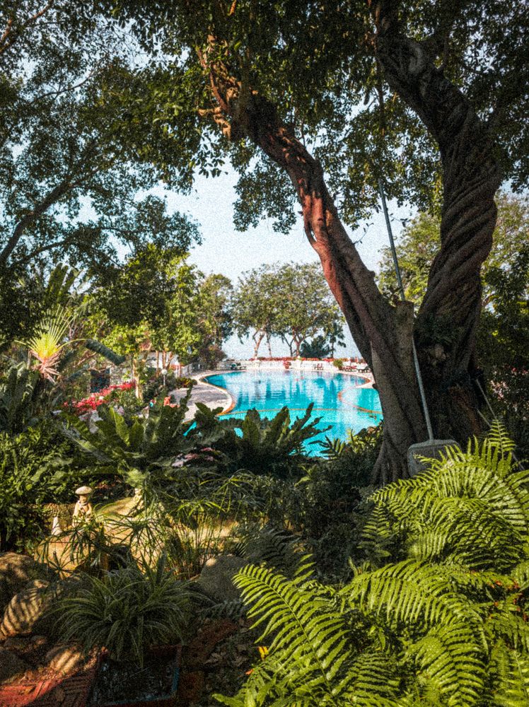 Photograph by Аболтин Андрей