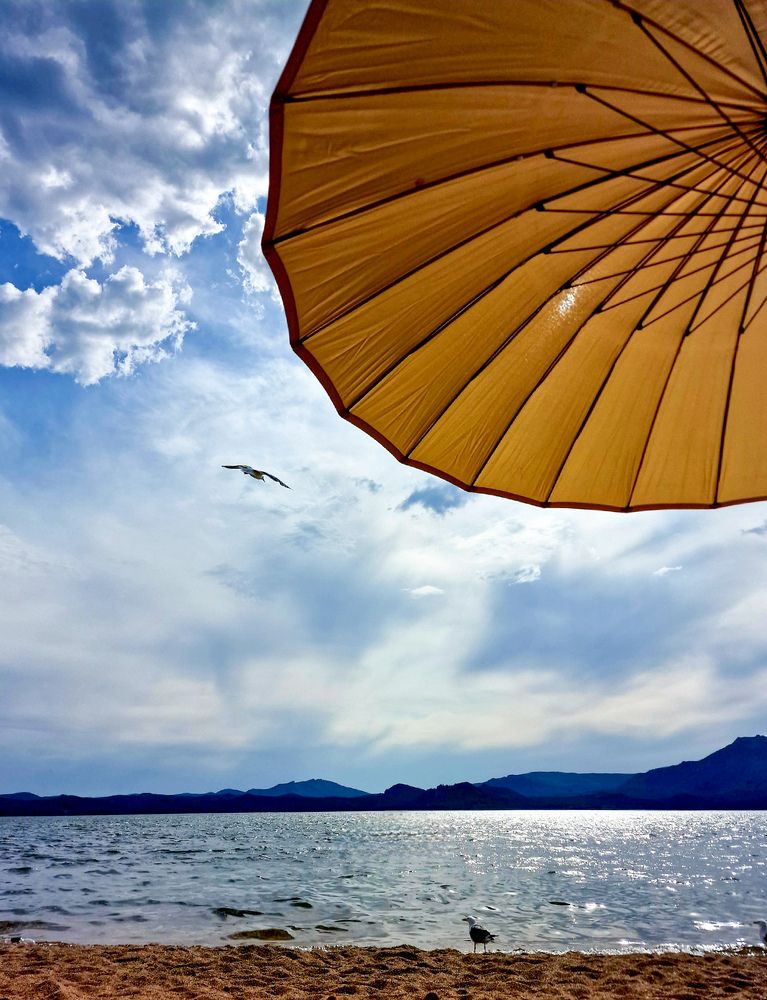 Фотография автора Алексей Морозов