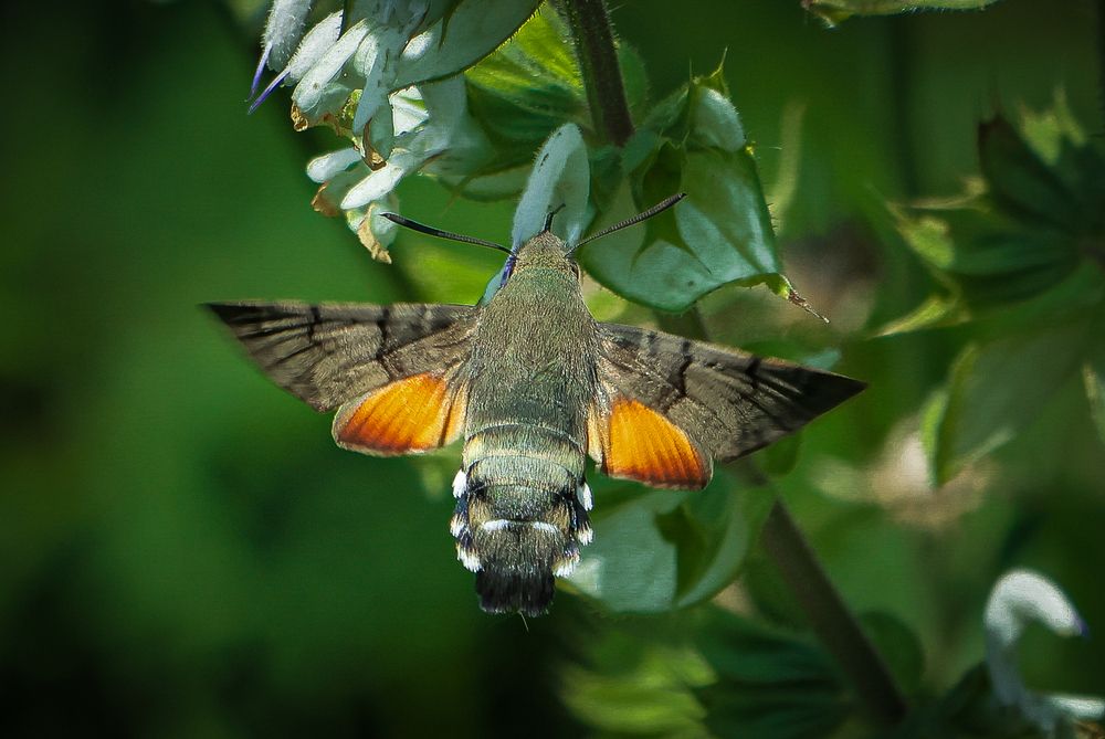 Photograph by Eva Wiedemann