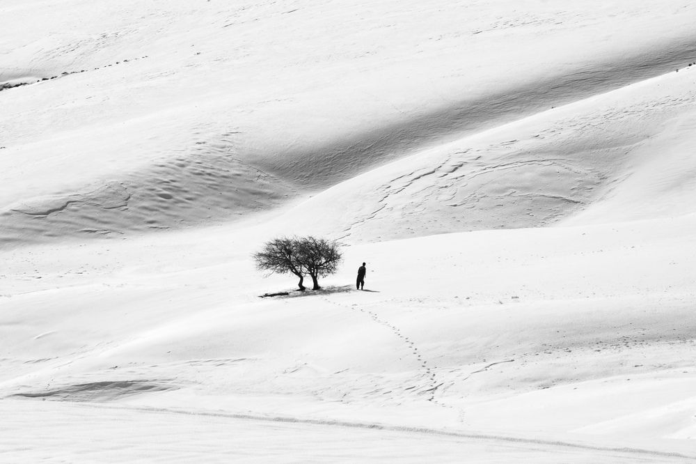 Фотография автора mohammad Alipour