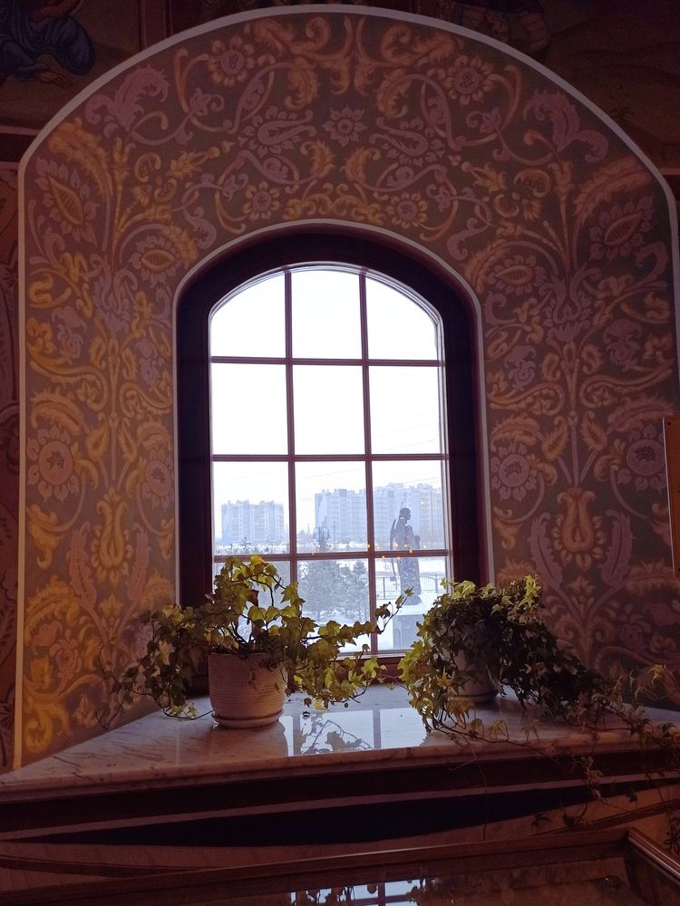 Фотография автора Юлия Сурина