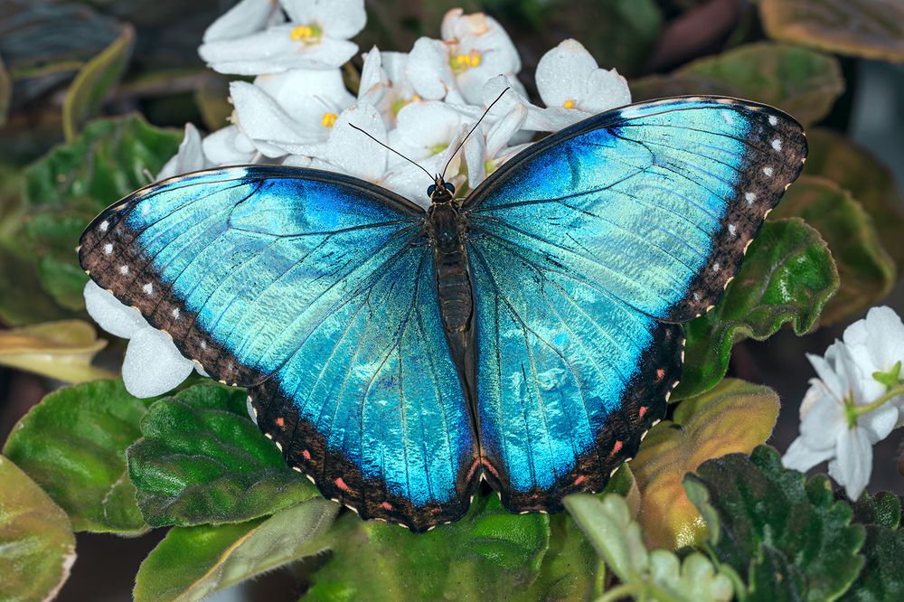 Photograph by Борис Новиков