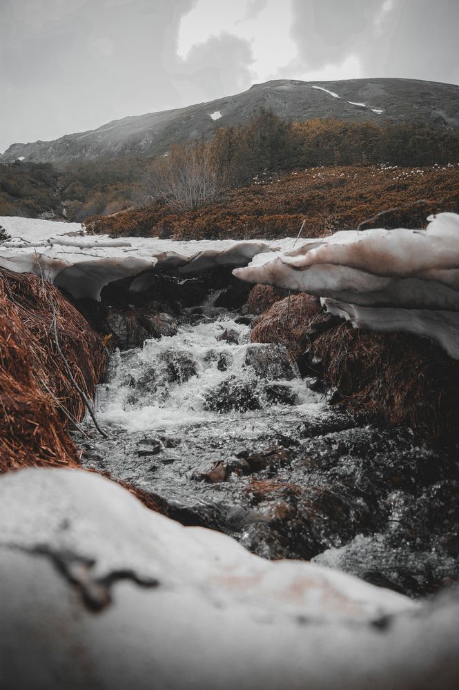 Photograph by Михаил Платковский