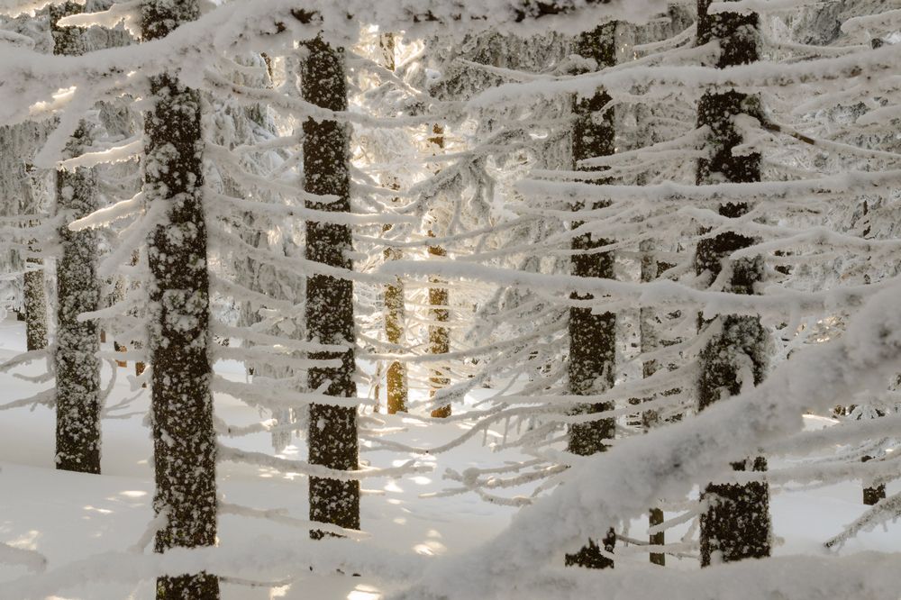 Photograph by Юсупов Александр