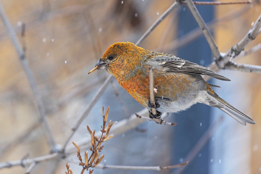 Фотография автора Наталья Василькова