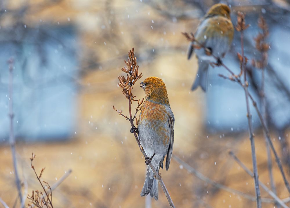 Фотография автора Наталья Василькова