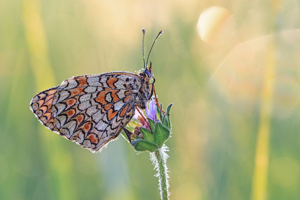 Photograph by Борис Новиков