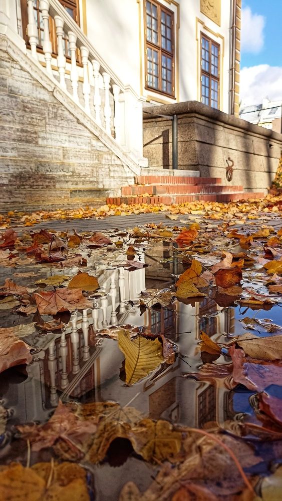 Photograph by Олеся Лосыгина