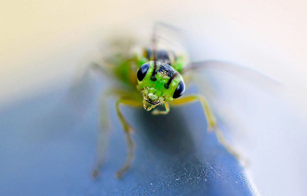 Photograph by Marjo Steffen