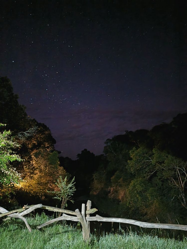 Photograph by Sekhar Kiran Krishanan