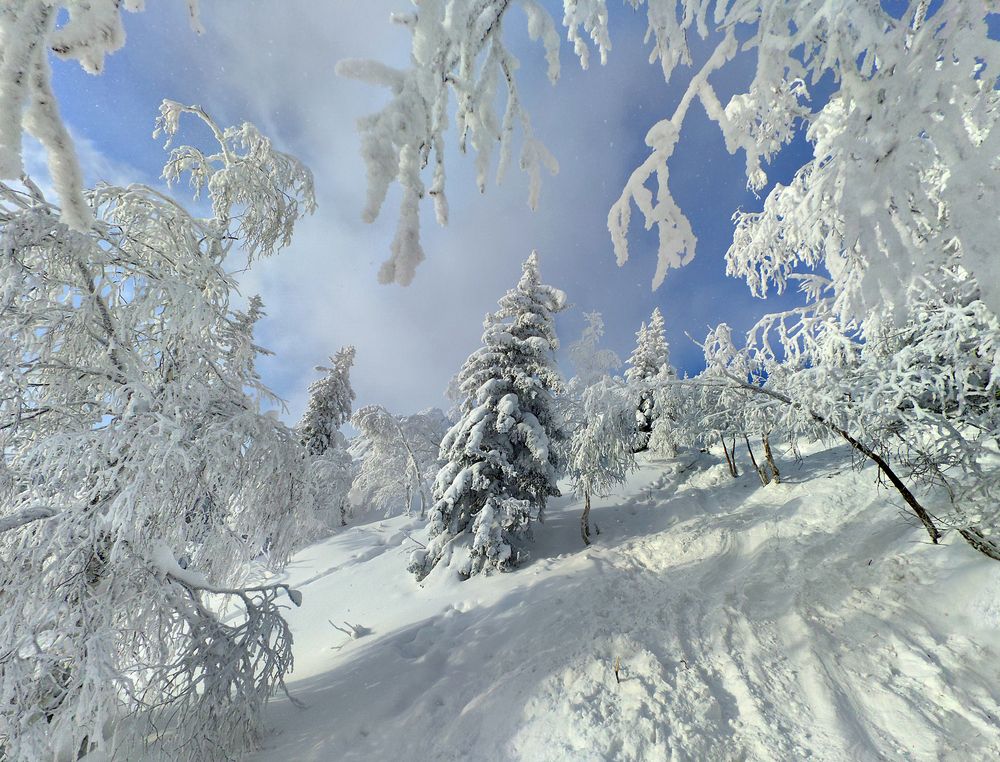 Фотография автора Кухта Мария