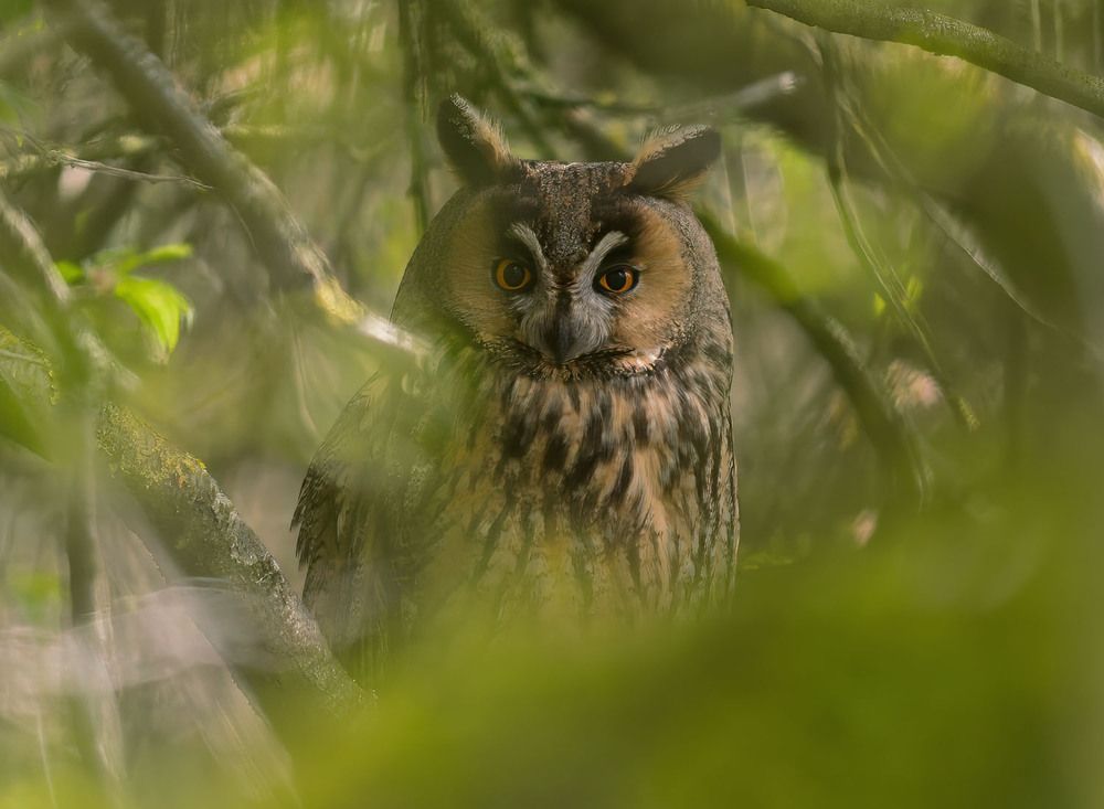 Photograph by wendy vanhoudt