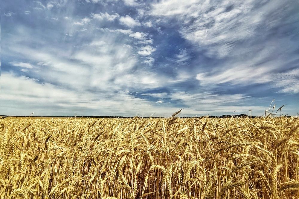 Photograph by Юлия Поликарпова