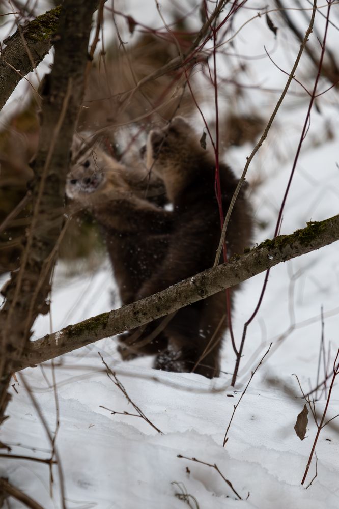 Photograph by Андрей Бородкин
