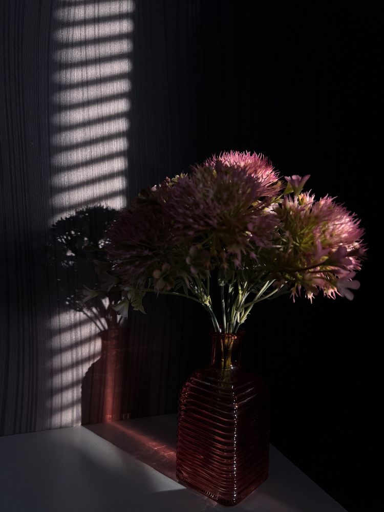 Photograph by Анна Пудовкина