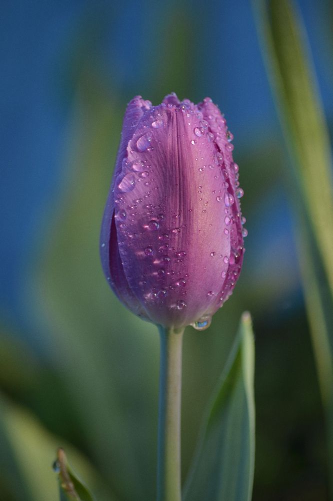 Photograph by Соколова Елена