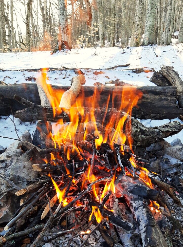 Photograph by Галина Глазкова