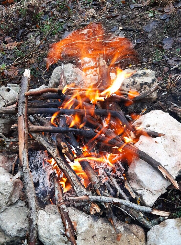 Photograph by Галина Глазкова