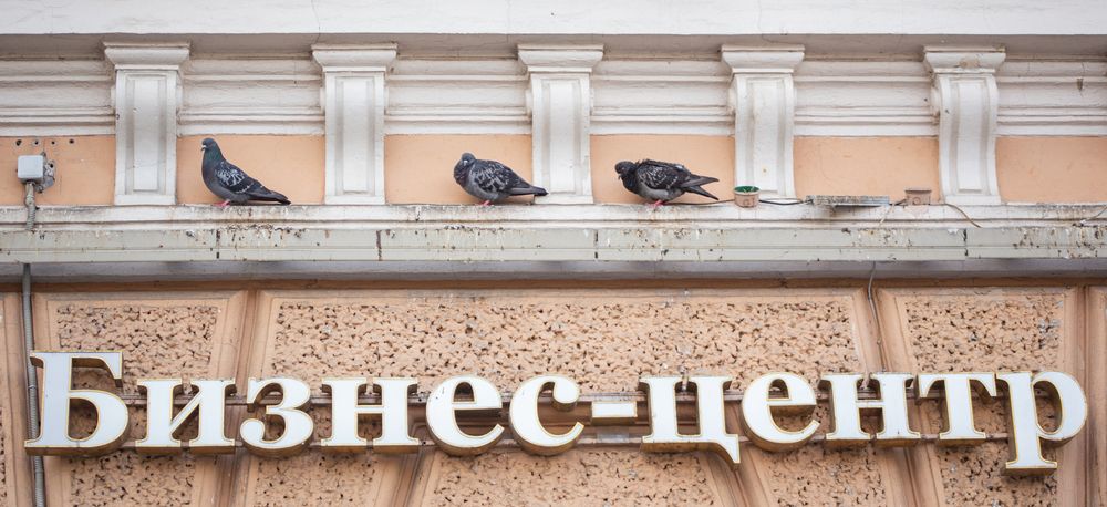 Фотография автора Андрей Челомов