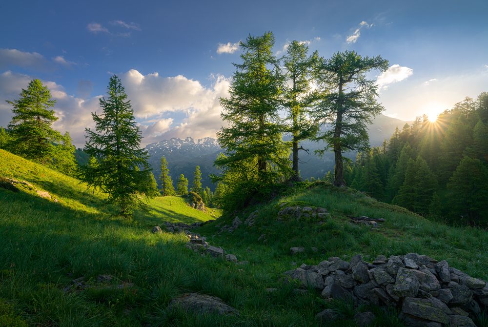 Photograph by Grégoire Pansu