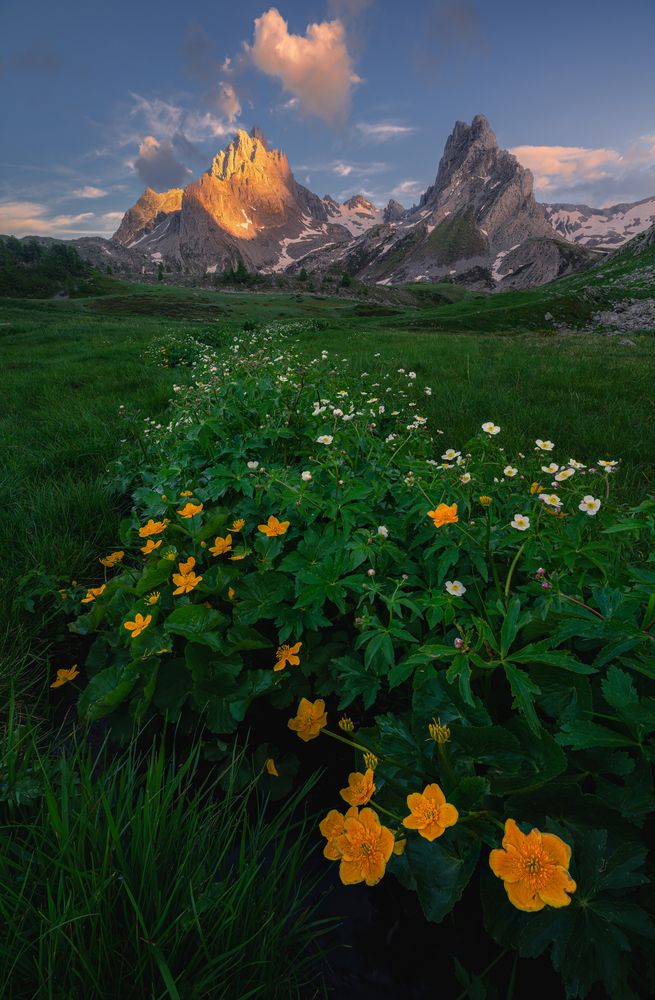 Photograph by Grégoire Pansu