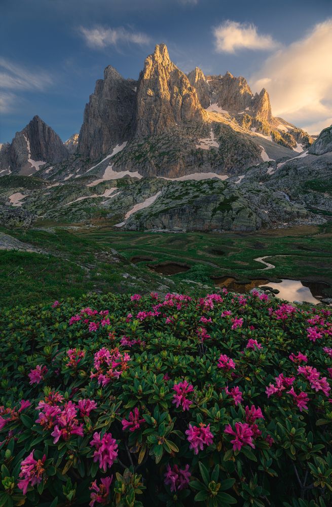 Photograph by Grégoire Pansu